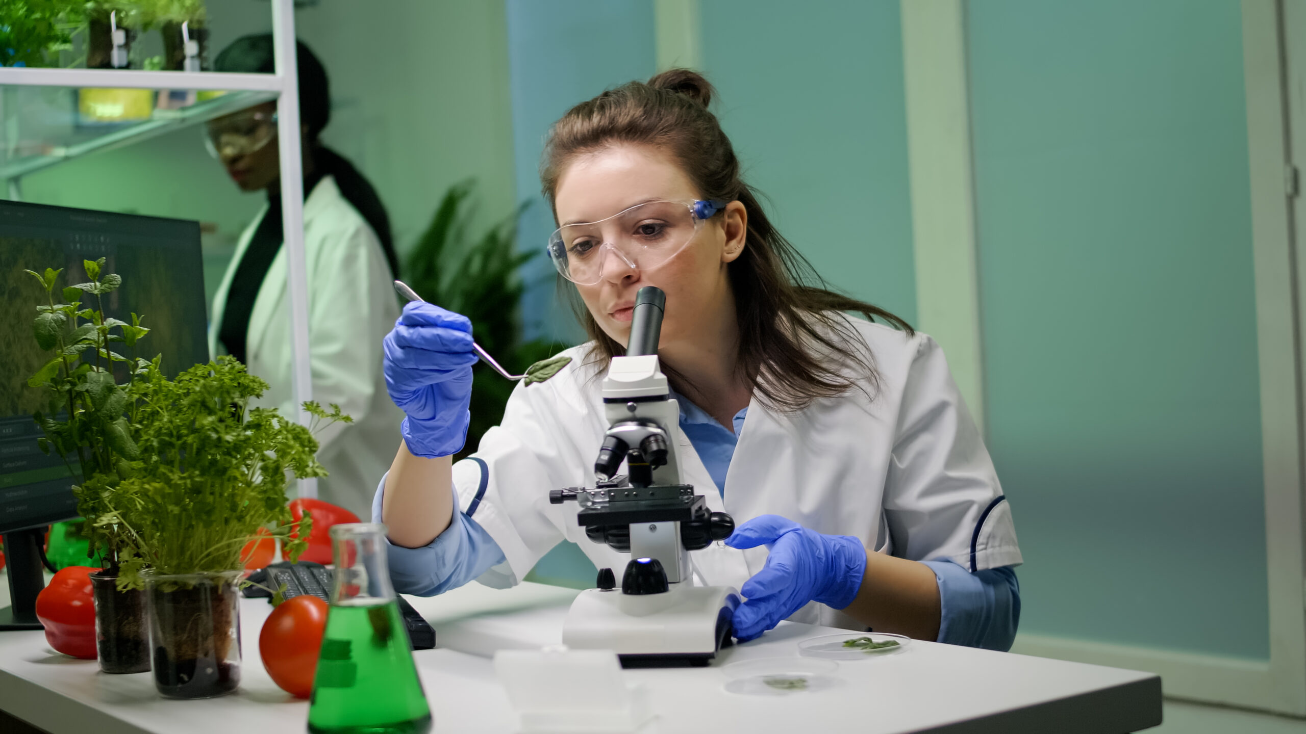 TerraBIOCHEM